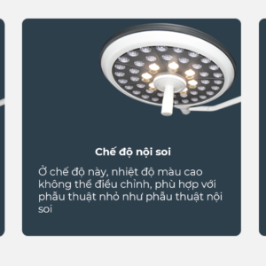 den-mo-treo-tran-zw-700-700-d